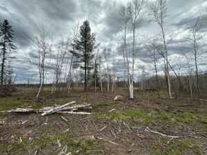 Property photo for land for sale in Pine County Minnesota