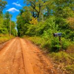 Property photo for land for sale in Houston County Texas