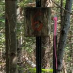 Property photo for land for sale in Montmorency County Michigan