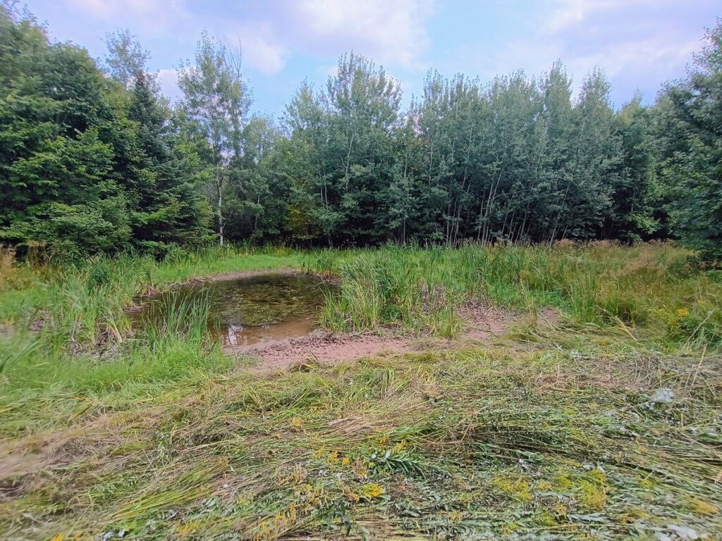 b1d16b67-8f9b-4295-8e40-7b0df25bf911.jpg