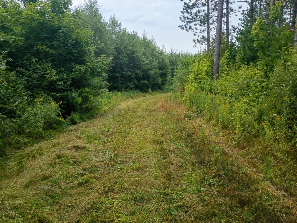 Property photo for land for sale in Ashland County Wisconsin
