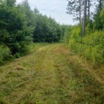 Property photo for land for sale in Ashland County Wisconsin