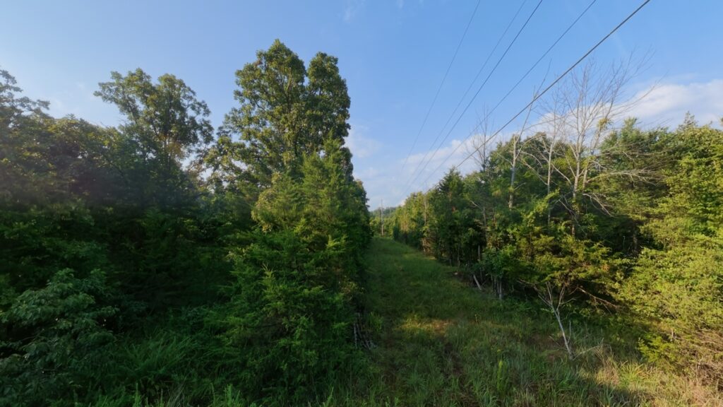 b3797355-2a44-4748-8743-7736acef78d2.jpg