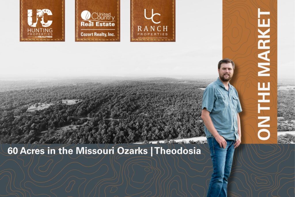 Property photo for land for sale in Ozark County Missouri