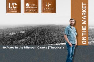 Property photo for land for sale in Ozark County Missouri