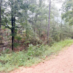 Property photo for land for sale in Izard County Arkansas