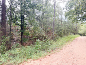 Property photo for land for sale in Izard County Arkansas