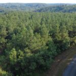 Property photo for land for sale in Perry County Tennessee