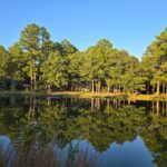 Property photo for land for sale in Le Flore County Oklahoma