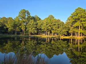 Property photo for land for sale in Le Flore County Oklahoma