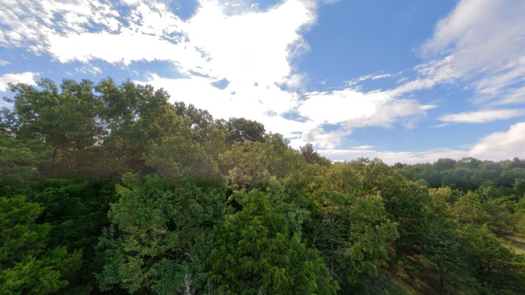 b6531116-1443-481e-bbdc-0575c5ef8955.jpg