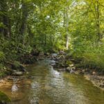 Property photo for land for sale in Hancock County Tennessee