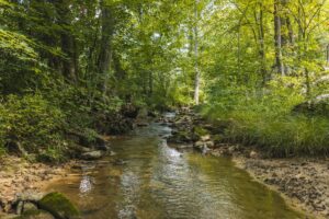 Property photo for land for sale in Hancock County Tennessee