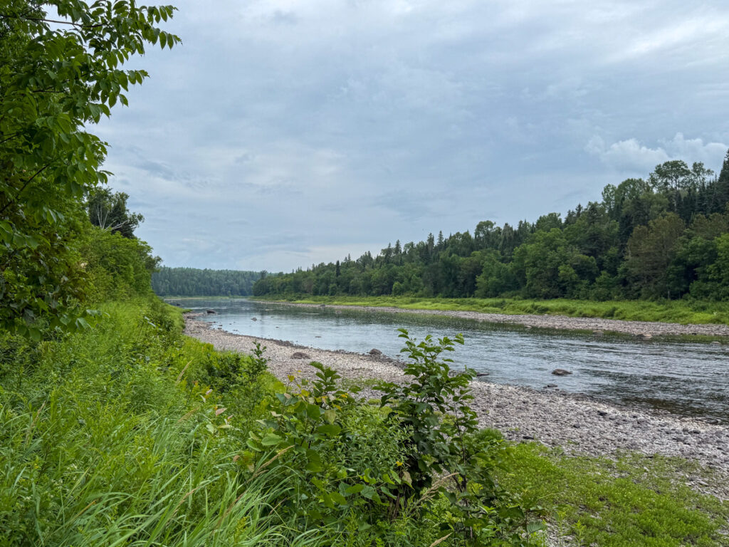 b8115e07-7087-4ec0-838f-a4eb4a179483.jpg