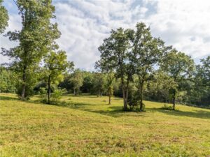 Property photo for land for sale in Boone County Arkansas