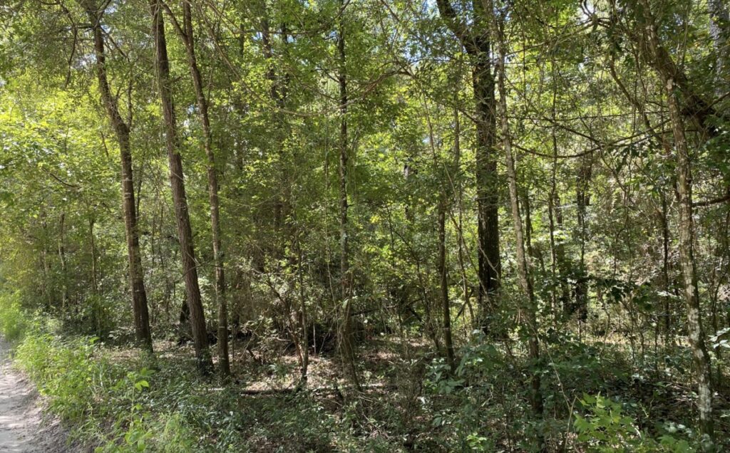 Property photo for land for sale in Hamilton County Florida