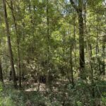 Property photo for land for sale in Hamilton County Florida