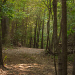 Property photo for land for sale in Smith County Texas