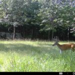 Property photo for land for sale in  County Texas