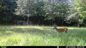Property photo for land for sale in  County Texas