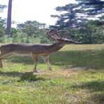Property photo for land for sale in Marion County Arkansas