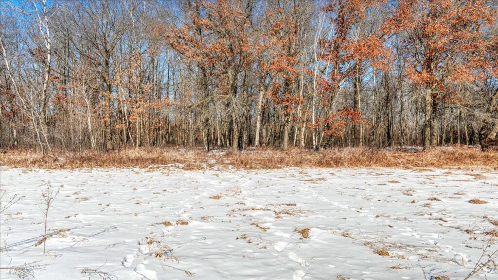 c0ce966e-a22a-4f37-8e4f-94dcd4f17268.jpg