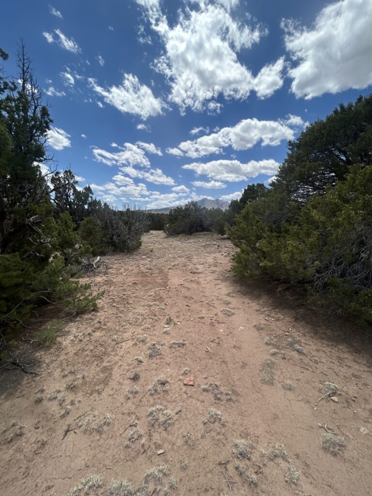 c0f48ea6-f3ad-4814-ae03-58ed5ccbdb15.jpg