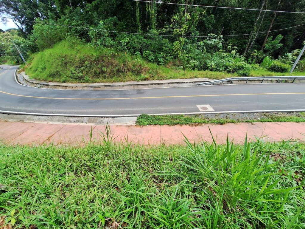 c2877457-4952-40d8-9591-573726359658.jpg