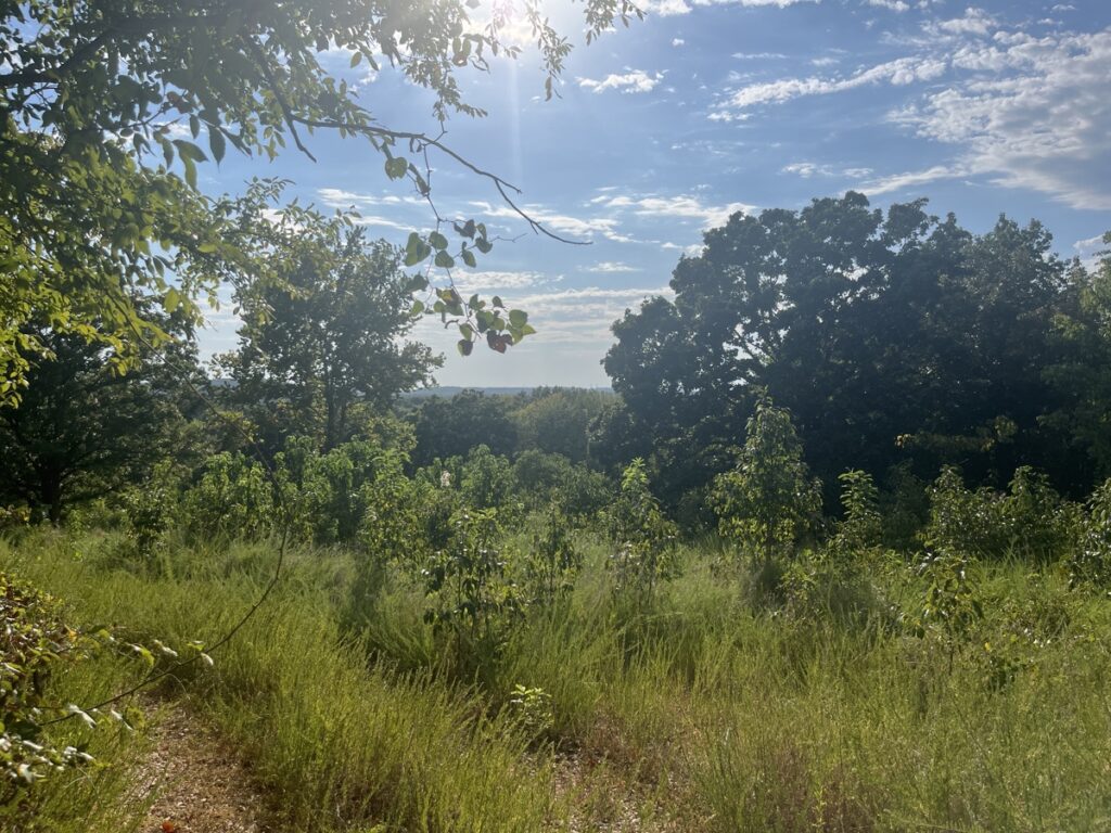 Property photo for land for sale in Mayes County Oklahoma