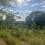 Property photo for land for sale in Mayes County Oklahoma