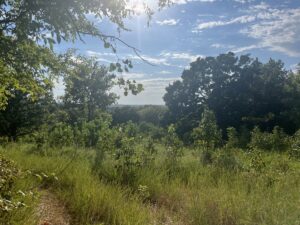 Property photo for land for sale in Mayes County Oklahoma