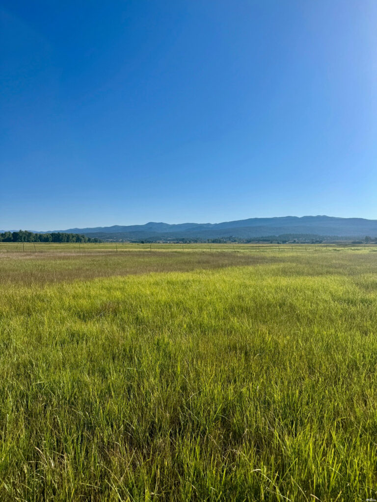 c464f445-2251-40a7-b5ad-703d7ce75989.jpg