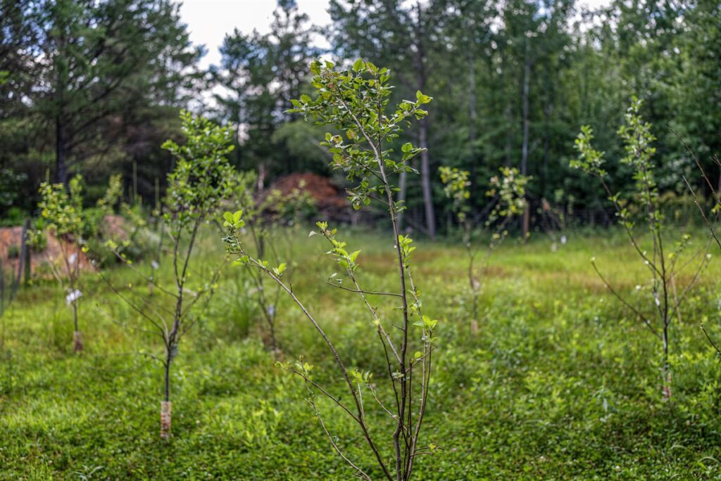 c4aab413-52e3-4f84-aa52-625934f86a66.jpg