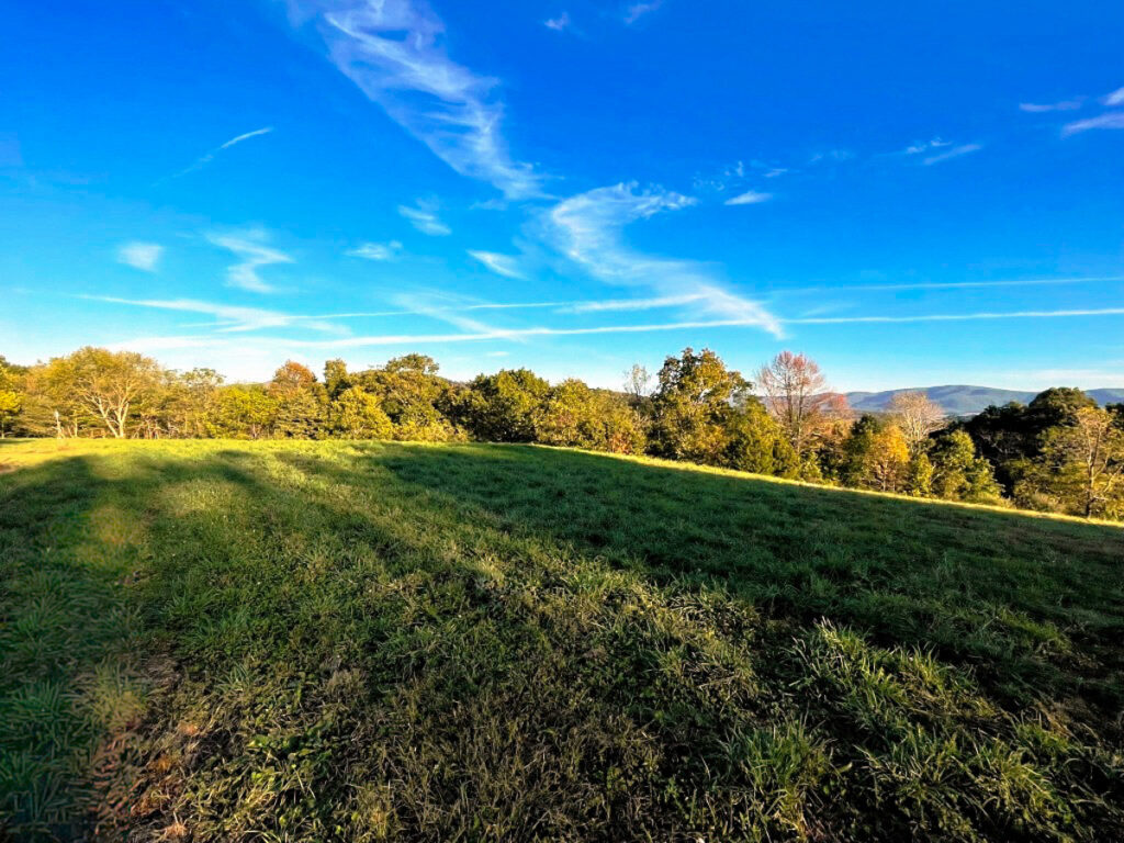 c51f66d3-aacf-46d0-aa87-338f4f2faa0a.jpg