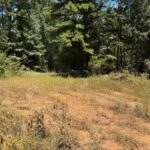Property photo for land for sale in Marion County Texas