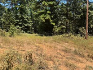 Property photo for land for sale in Marion County Texas