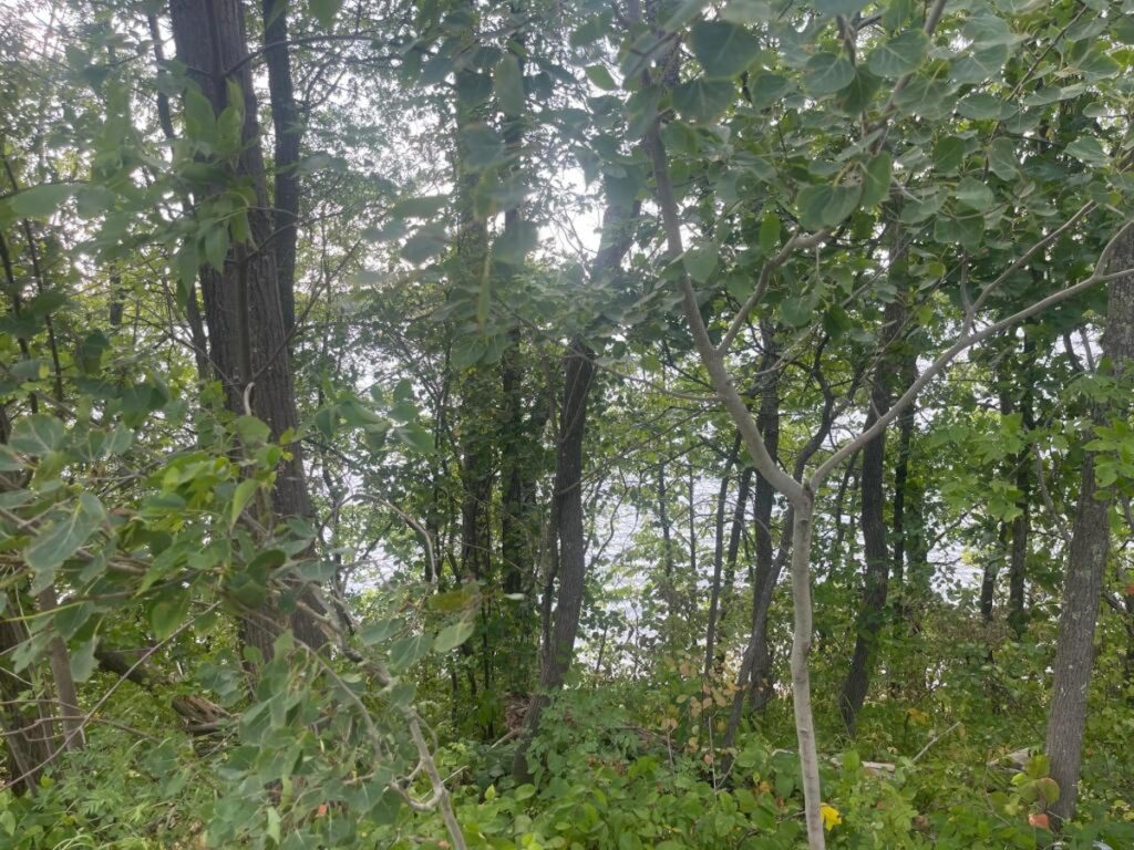 c6ab8754-7138-41c7-a52d-c10fe5ca394f.jpg