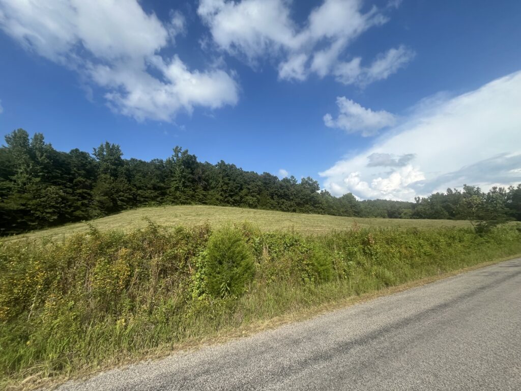 c6b7b409-0049-4adb-bd58-15266e9cf99d.jpg