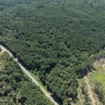 Property photo for land for sale in Franklin County Mississippi