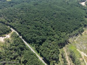 Property photo for land for sale in Franklin County Mississippi