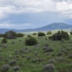 Property photo for land for sale in Apache County Arizona
