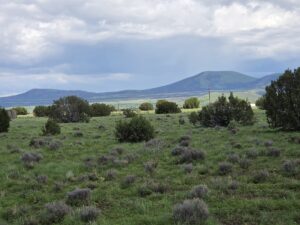 Property photo for land for sale in Apache County Arizona