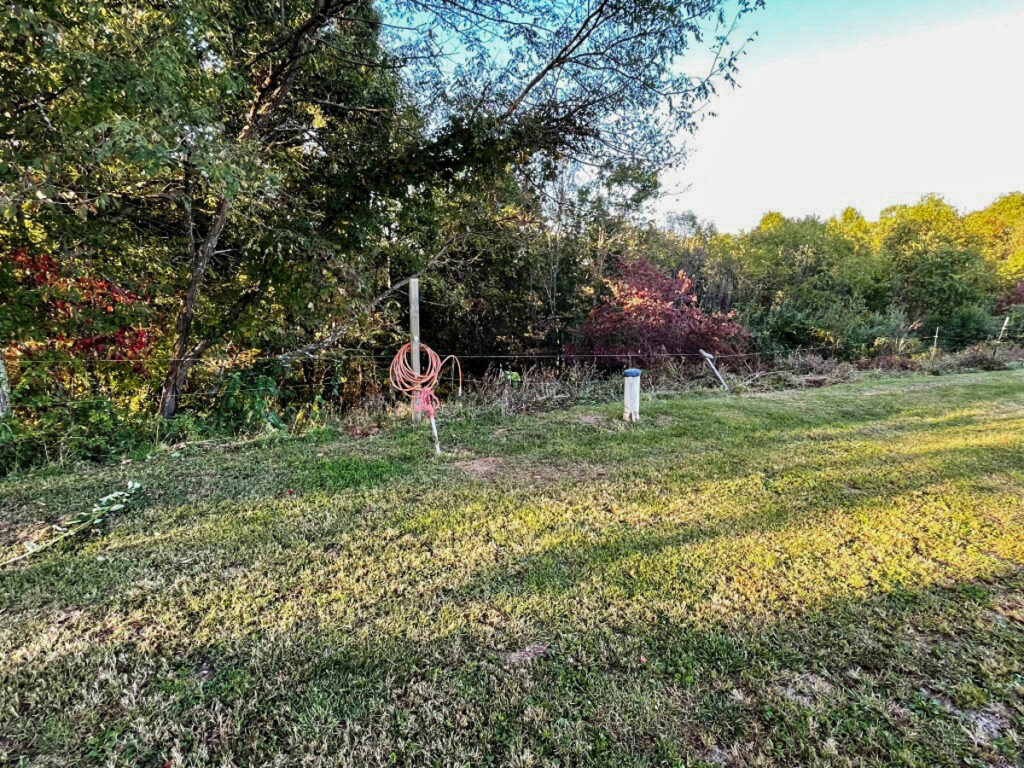 c9a792eb-149d-4deb-8374-0701ec764db1.jpg