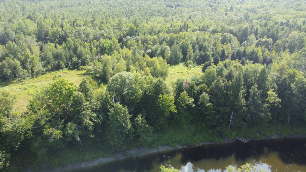 Property photo for land for sale in Piscataquis County Maine