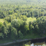 Property photo for land for sale in Piscataquis County Maine