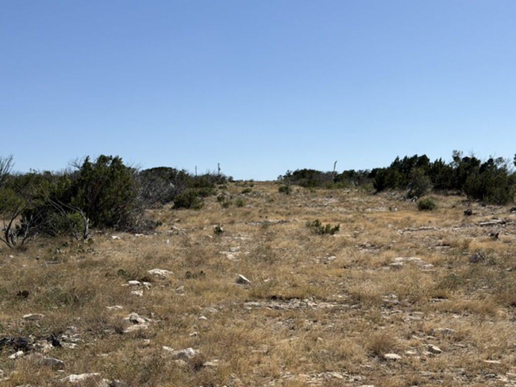 cf0ebd23-a644-4afb-8f73-e6c43de713a6.jpg