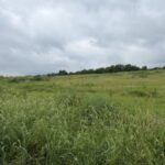 Property photo for land for sale in  County Missouri