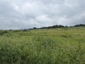 Property photo for land for sale in  County Missouri