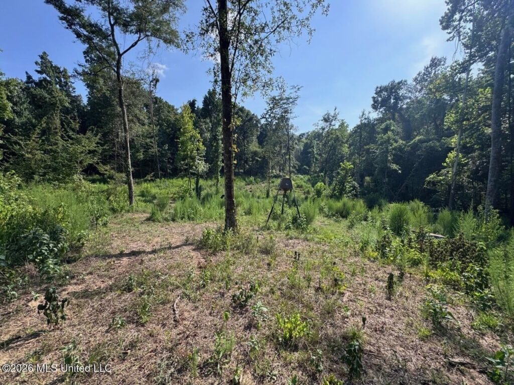 d41835d8-24df-42f3-bdbf-eed8b9758976.jpg