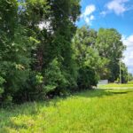 Property photo for land for sale in Suwannee County Florida